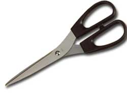 FORBICI 4331 LAMA ACCIAIO INOX 21,5CM IMPUGN.PLASTICA LEBEZ