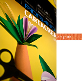 Blister 10fg cartoncino 35x50cm 220gr aragosta Cartacrea Fabriano