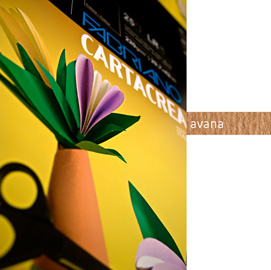 Blister 10fg cartoncino 35x50cm 220gr avana Cartacrea Fabriano