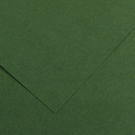 Foglio COLORLINE 70x100 cm 220 gr. 31 Verde abete
