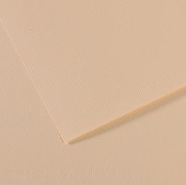 Foglio MI-TEINTES A4 cm 160 gr. 112 conchiglia