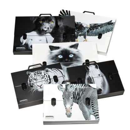 Valigetta polionda Animal Friends 38x53 dorso 5cm fantasie assortite RI.PLAST