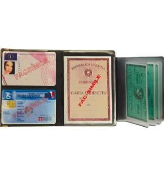 Display 24 Portadocumenti Multicard special colori assortiti 1060S Alplast