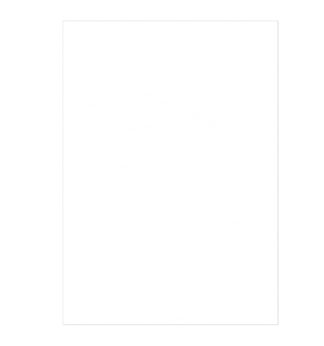 100 Copertine A4 cartoncino groffrato semilpelle 240g bianco Fellowes