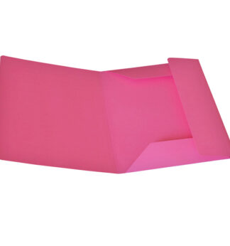 Pack 25 Cartelline 3 Lembi CICLAMINO in bristol 200g Starline