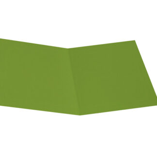 Pack 50 Cartelline Semplici VERDE NILO in bristol 200g Starline
