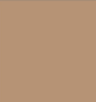 500 Cartine antigrasso per alimenti color avana 33x32,5cm Leone
