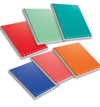 Maxiquaderno spiralato A5 s/fori 5mm 70fg 80gr Monocromo