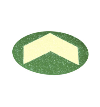 Bollo con freccia fotoluminescente adesiva D.60mm colore giallo verde