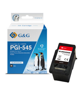 Cartuccia ink rigenerata Nero GG per Canon PIXMA MG2450/2550/2950/IP2850