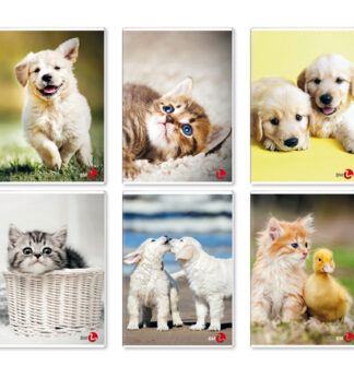 Maxiquaderno A4 40FG+2 80gr rigo di 1a Cute 2024 BM