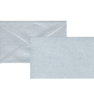 Biglietto Natale semplice neutro c/busta 9x14cm argento Sadoch