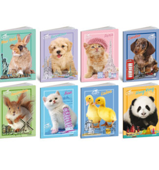 Maxiquaderno A4 20fg+1 80gr rigo di 3a City Pet 2024 Blasetti