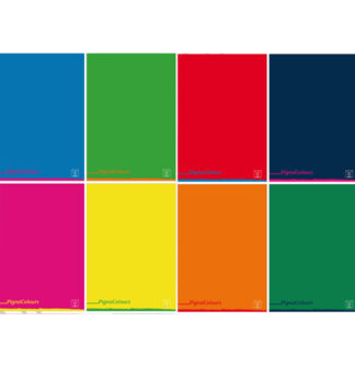 Maxiquaderno A4 80gr 40+2fg 5mm c/margine Pigna Colours