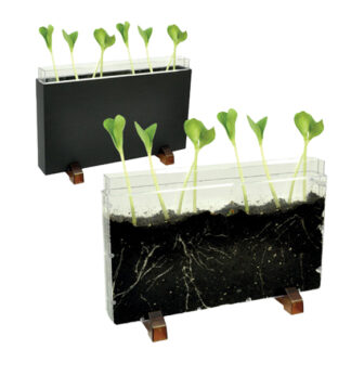 Contenitore Esplora il sottosuolo dim. 30x19x4cm Cwr